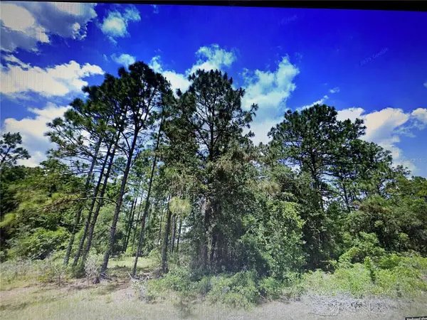 0 SW 135th Loop, OCALA, FL 34473
