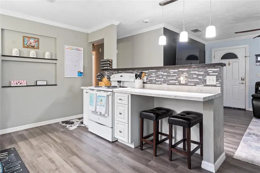 16490 NE 25th Lane, Williston, FL 32696 - Image #3