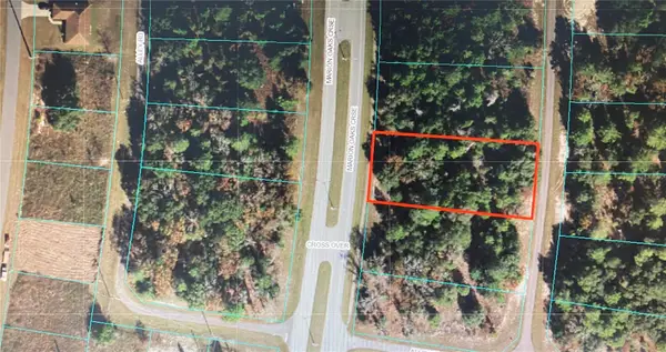 TBA SW Marion Oaks Crse, OCALA, FL 34473