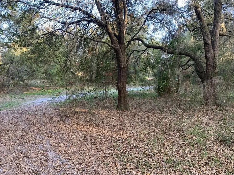 #3