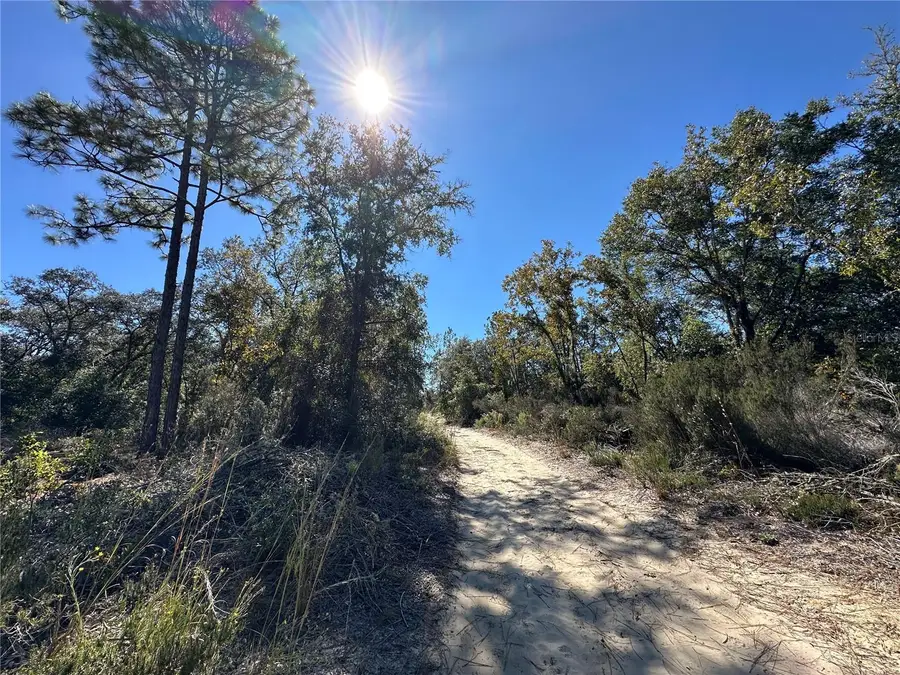 TBD NE 86th Street, Bronson, FL 32621 - Image #3