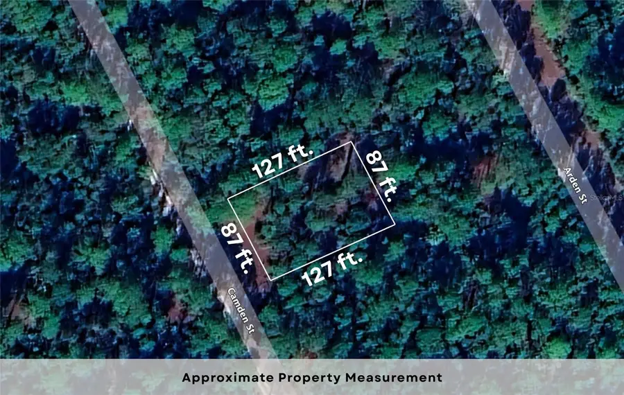 150 Camden Street, Georgetown, FL 32139 - Image #3