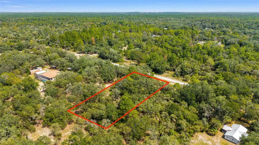 TBD SW Winding Hills Road, Dunnellon, FL 34431 - Image #2