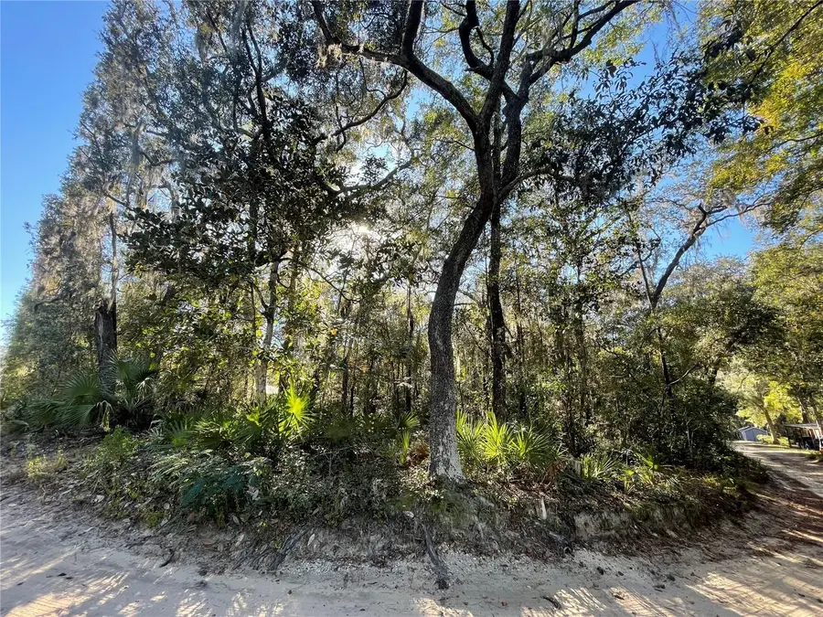 TBD NE 199th Place, Fort McCoy, FL 32134 - Image #2