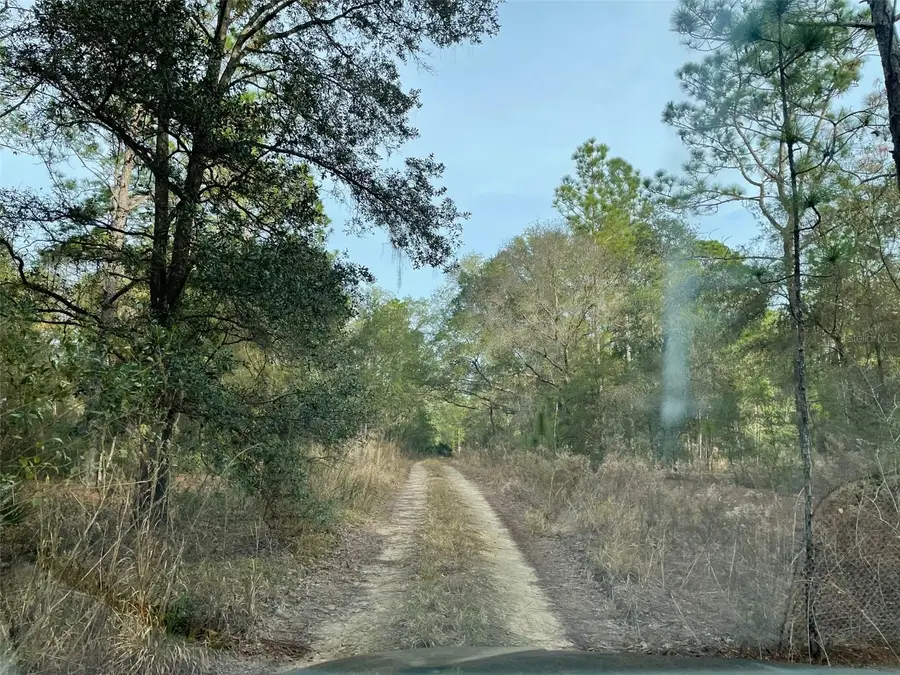 LOT 9 SW 152nd Avenue, Ocala, FL 34481 - Image #3