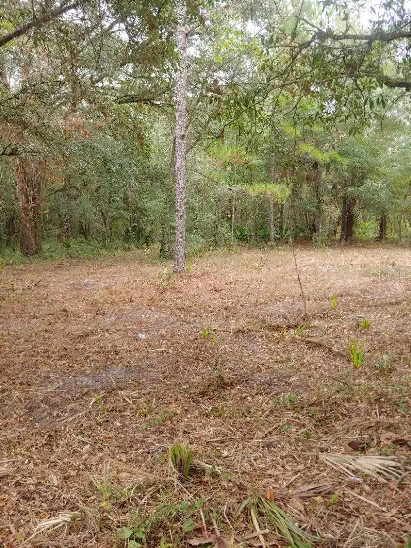 #3