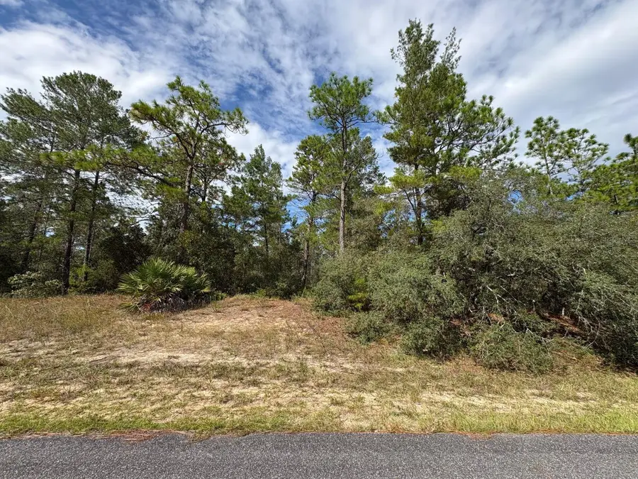 4422 W Banner Circle, Dunnellon, FL 34433 - Image #2