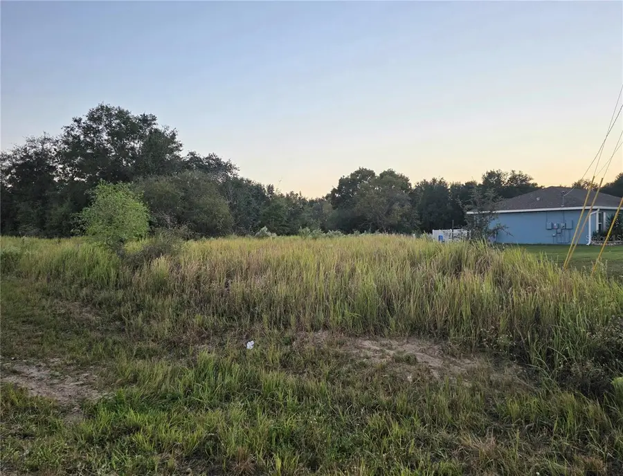 00 Dogwood Drive Lane, Ocala, FL 34472 - Image #3