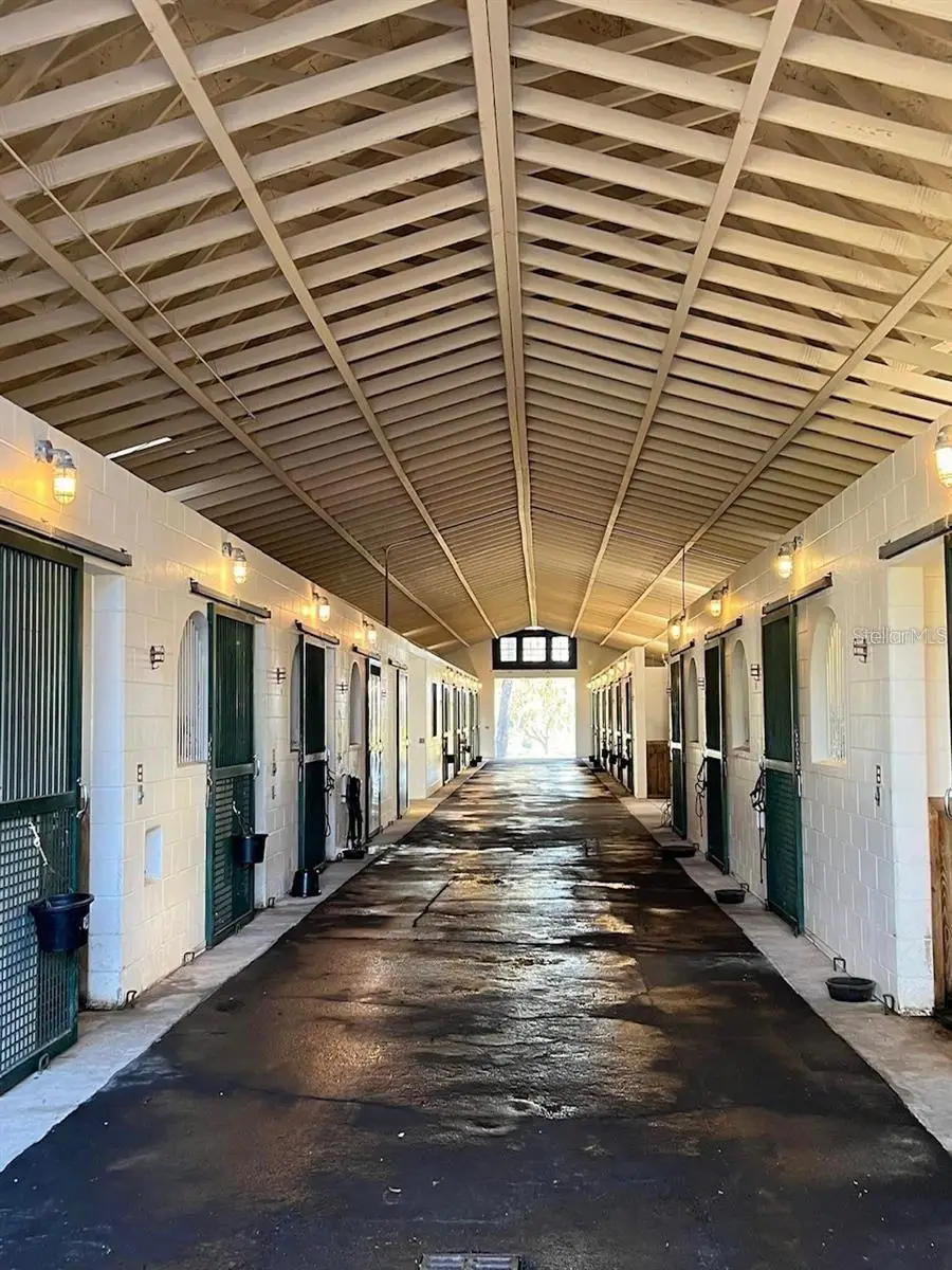 5540 SE 157th Street Road #(Option 1), Summerfield, FL 34491 - Image #2