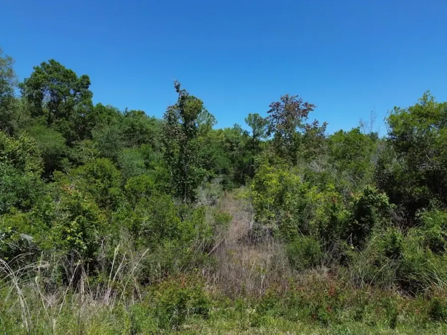 33455 Berryhill Drive, Webster, FL 33597 - Image #2