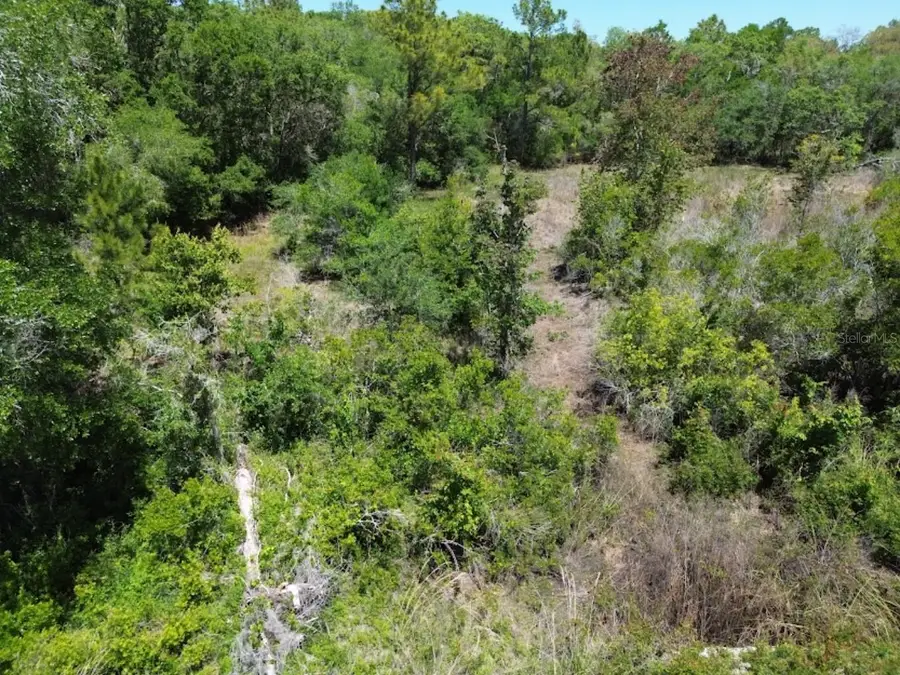 33455 Berryhill Drive, Webster, FL 33597 - Image #3