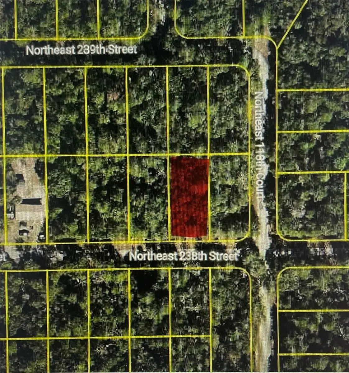 TBD NE 238th St, Fort McCoy Anthony, FL 32134 - Image #1
