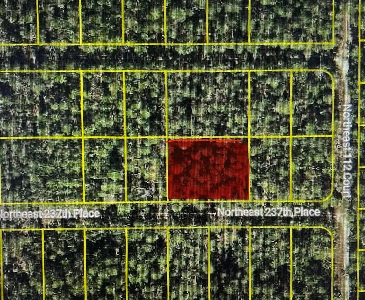 TBD NE 237th Place, Fort McCoy Anthony, FL 32134 - Image #1