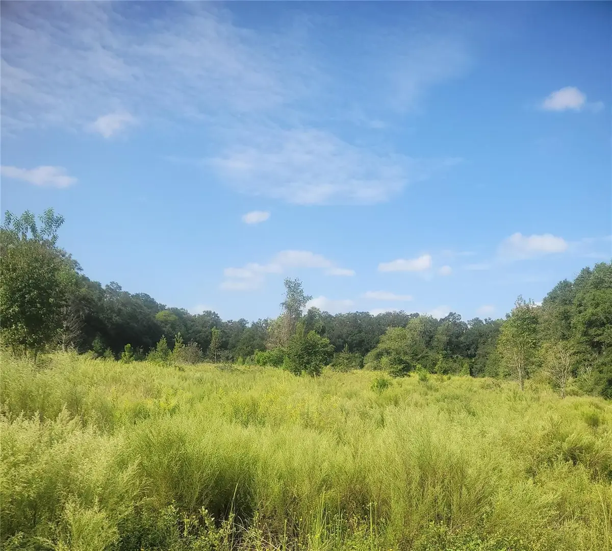 2826 NW 174th Street, Newberry, FL 32669 - Image #1