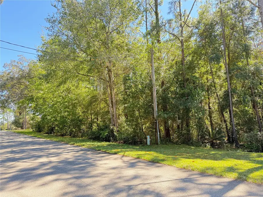 1188 W Pearson Street, Hernando, FL 34442 - Image #2