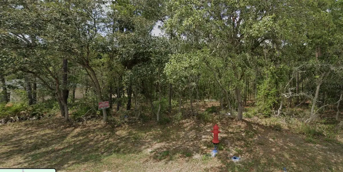 Lot 4 SW 144th Lane, Ocala, FL 34473 - Image #1