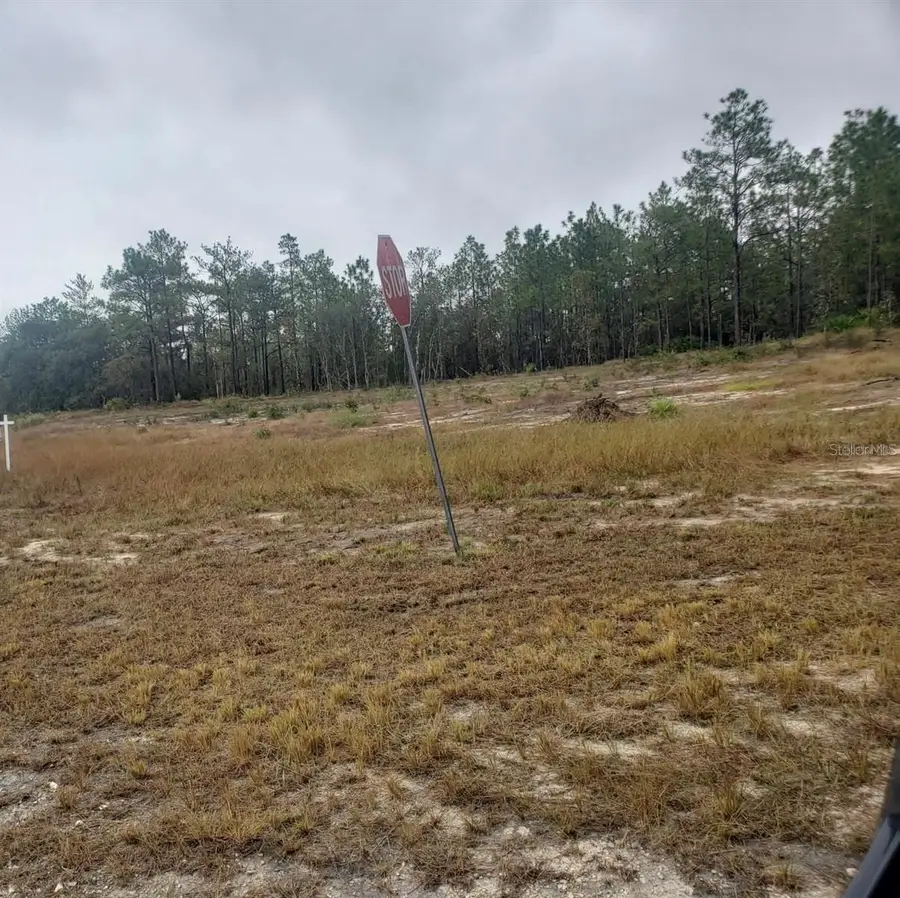 16322 Mexican Eagle Road, Brooksville, FL 34614 - Image #3