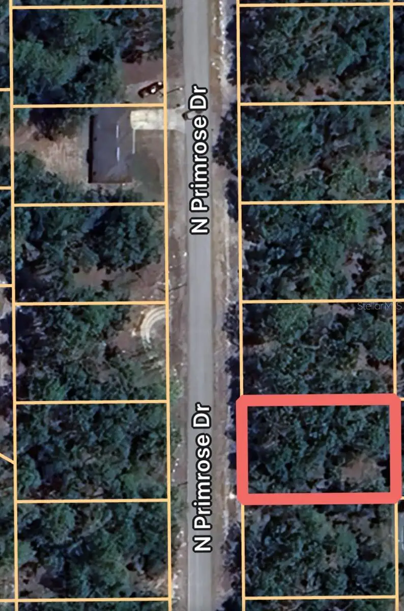 7711 N Primrose Drive, Citrus Springs, FL 34434 - Image #2