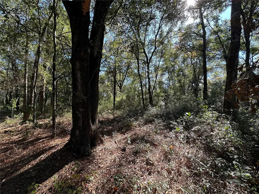TBD NE 152nd Terrace, Williston, FL 32696 - Image #3