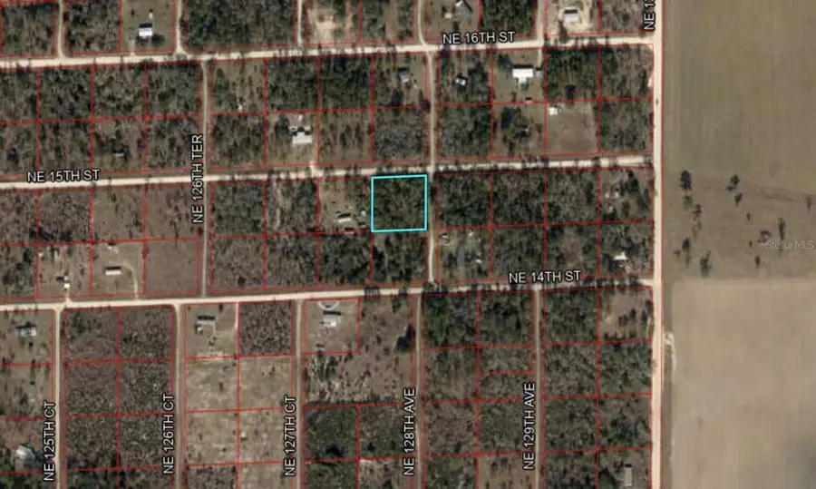 TBD NE 15th Street, Williston, FL 32696 - Image #2