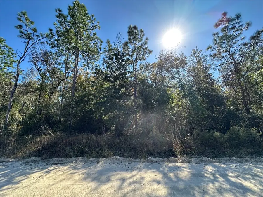 TBD NE 15th Street, Williston, FL 32696 - Image #3