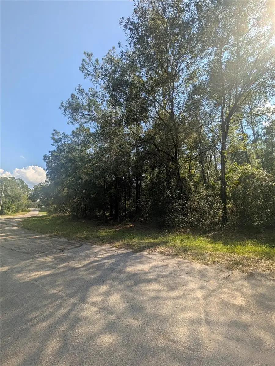 10484 N Holcomb Drive, Citrus Springs, FL 34434 - Image #2