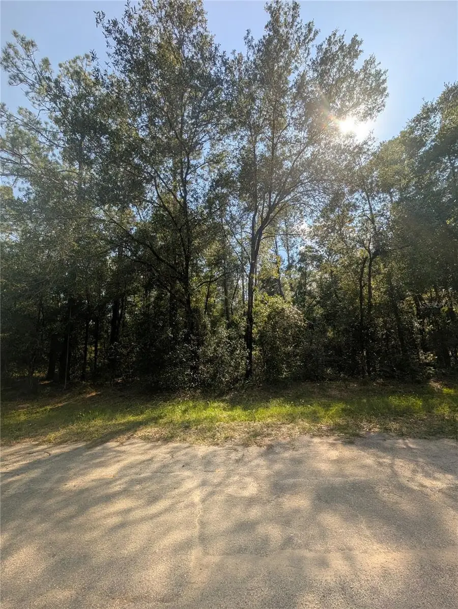 10484 N Holcomb Drive, Citrus Springs, FL 34434 - Image #3