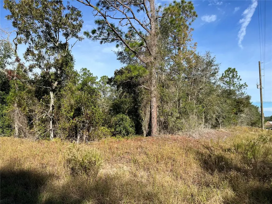 00 SW Breezy Point Drive, Dunnellon, FL 34431 - Image #2