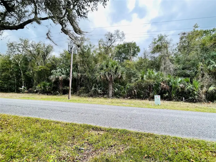 0 NE 245th Street Road, Fort McCoy Anthony, FL 32134 - Image #2