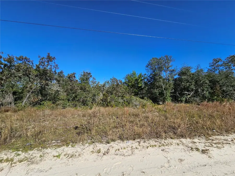 TBD NE 66th Lane, Williston, FL 32696 - Image #3