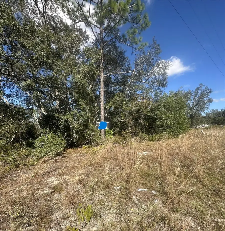 Ne 64th Place, Williston, FL 32696 - #3