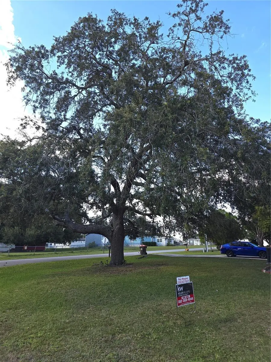 12667 SE 101st Court, Belleview, FL 34420 - Image #3