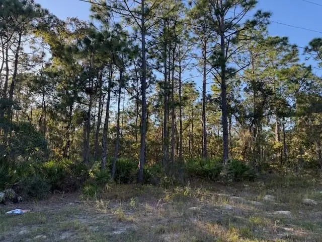 2862 N Stampede Drive, Beverly Hills, FL 34465 - Image #1