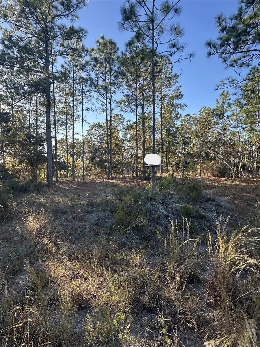 Ne 150th Court #8, Williston, FL 32696 - Image #3