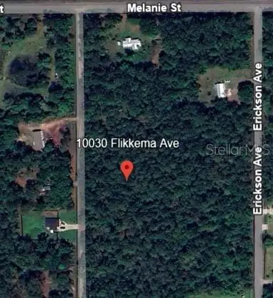 10030 Flikkema Avenue, Hastings, FL 32145 - Image #2