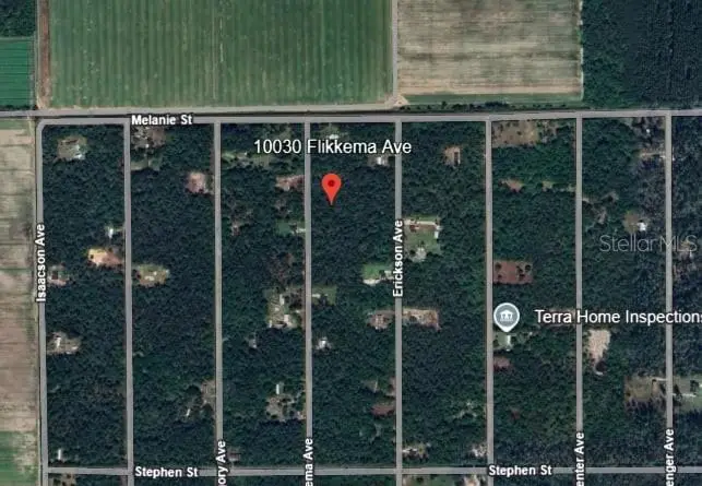 10030 Flikkema Avenue, Hastings, FL 32145 - Image #3