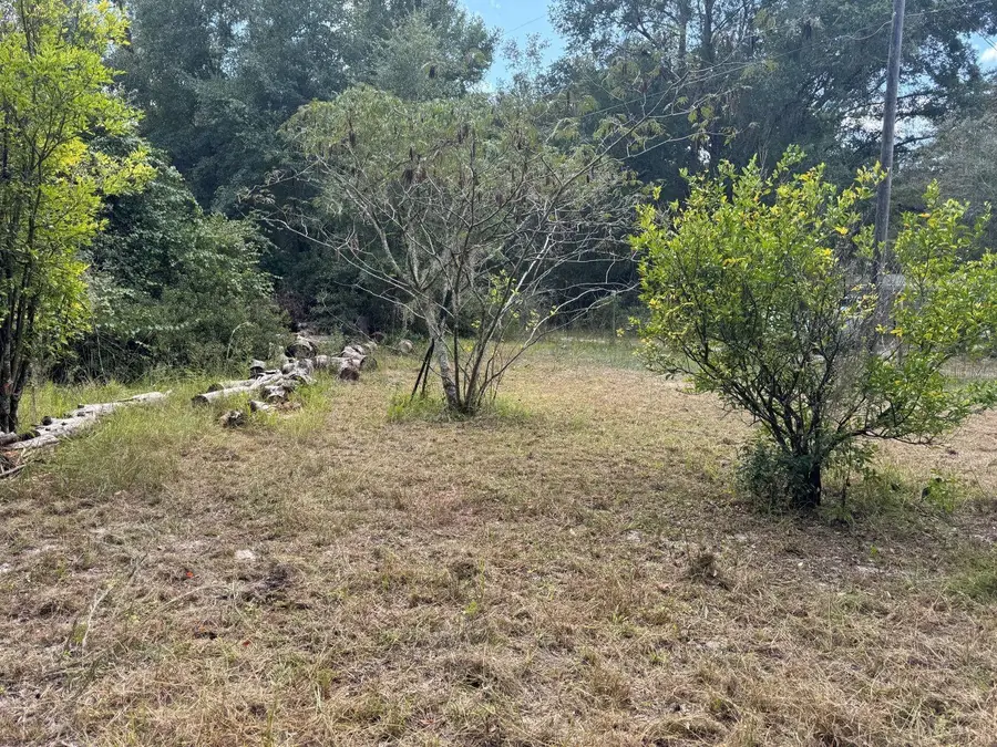 16323 NE 138th Court, Fort McCoy Anthony, FL 32134 - Image #3