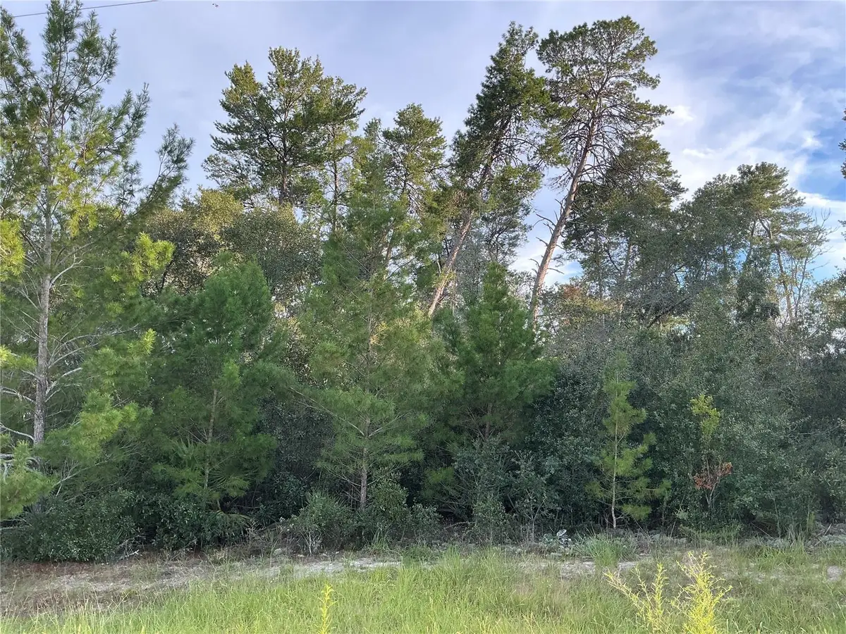 0 SW 112th Street, Ocala, FL 34476 - Image #1