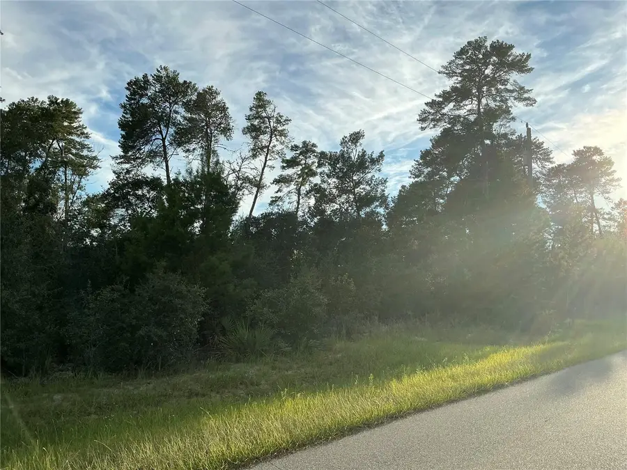 0 SW 112th Street, Ocala, FL 34476 - Image #3