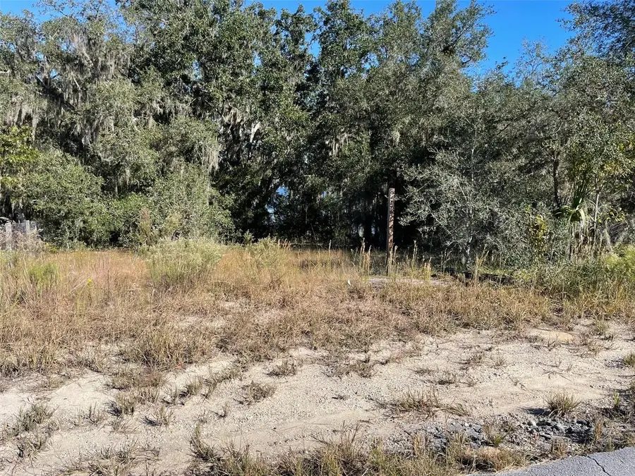 LOTS 444, 445 SW Shorewood Drive, Dunnellon, FL 34431 - Image #3