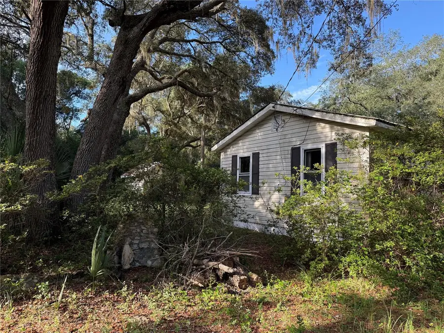 14898 NE 157th Lane, Fort McCoy, FL 32134 - Image #3