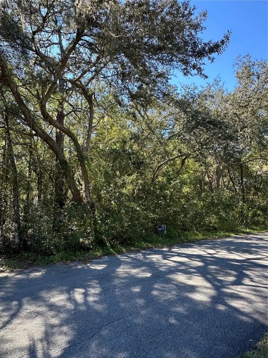 3076 E Lloyd Street, Inverness, FL 34453 - Image #3