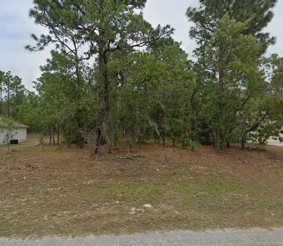 1485 W Lamplighter Street, Citrus Springs, FL 34434 - Image #3