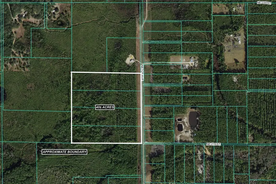 TBD NE 125th Ave Road, Fort McCoy Anthony, FL 32134 - Image #2