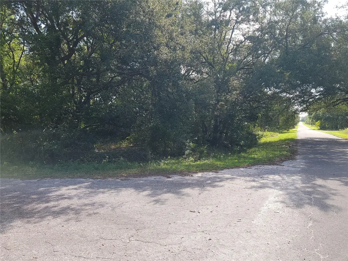 Lot 20 SE Fisher Lane Pass, Ocklawaha, FL 32179 - Image #1