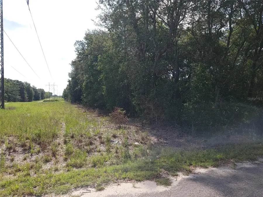 Lot 20 SE Fisher Lane Pass, Ocklawaha, FL 32179 - Image #3