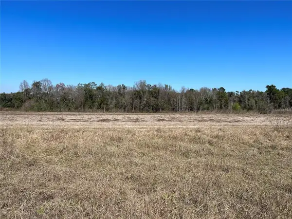 LOT 4B E Hwy 318, FORT MC COY, FL 32134