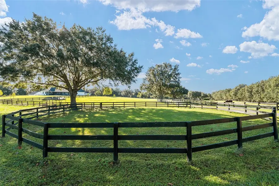 901 SW 87th Place, Ocala, FL 34476 - Image #2