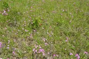 39 Locust Place, Ocala, FL 34472 - Image #3