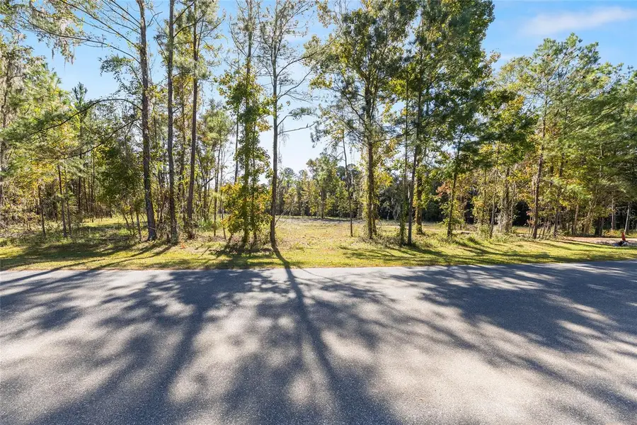 TBD NW 145 Street, Williston, FL 32696 - Image #3
